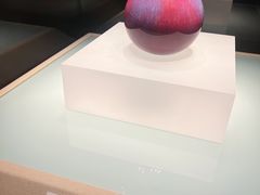 -辽宁省博物馆