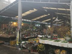 -曲阳花鸟市场(曲阳路店)