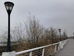 -上海山野camping·户外天幕烧烤·团建拓展营地