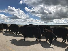 -青海湖国家重点风景名胜区