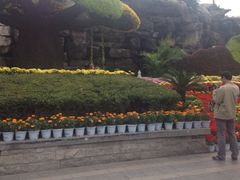 iphone_upload_pic-迎泽公园