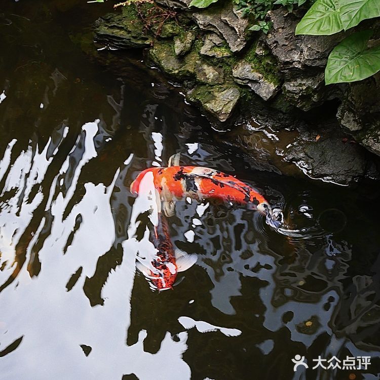 广州｜廣州經典老字號茶樓——北園