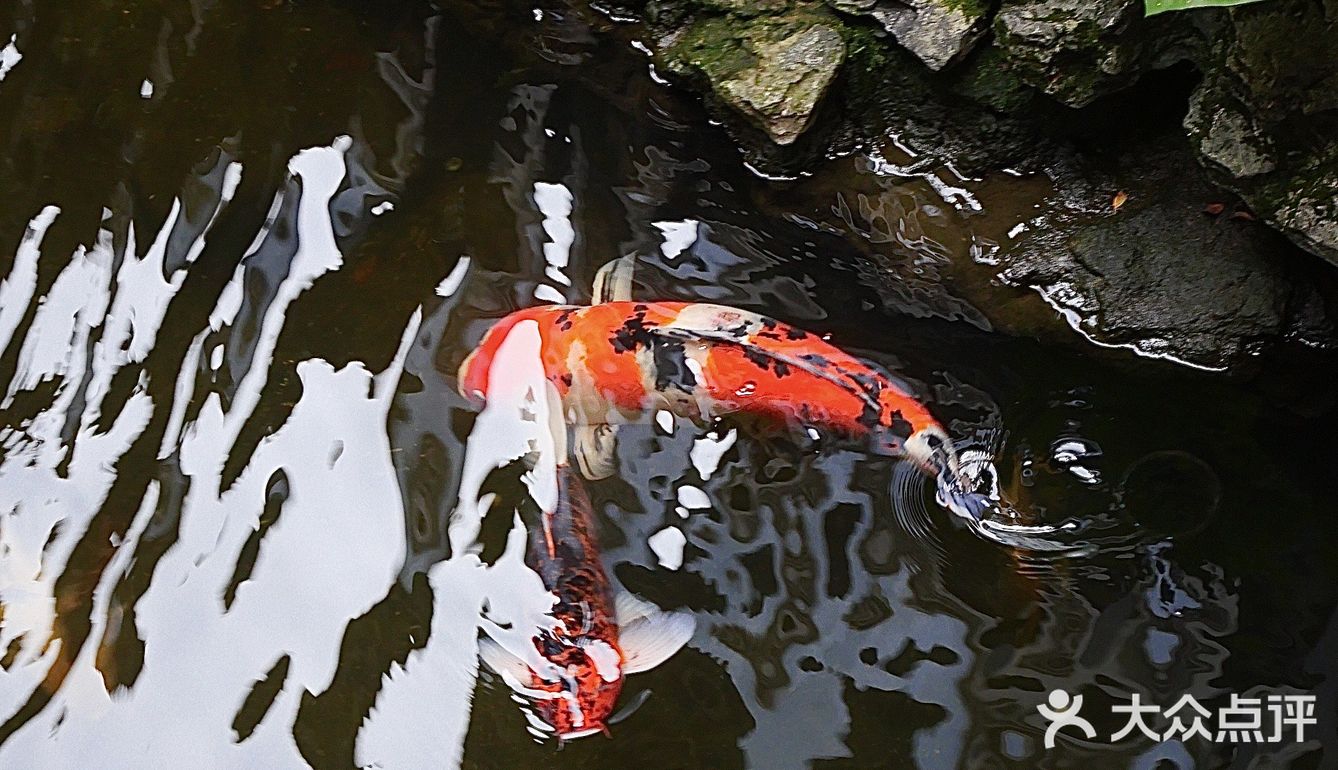 广州｜廣州經典老字號茶樓——北園