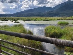 -腾冲北海湿地