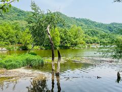 -玉渡山自然风景区