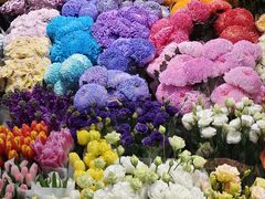 -双季花艺园艺市场(浦东店)