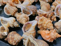 -南沙十九涌渔人码头-南门