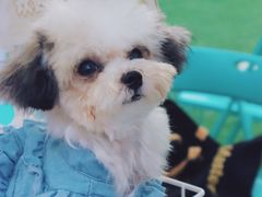 -IPARK购物中心
