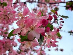 -洛阳市隋唐城遗址植物园