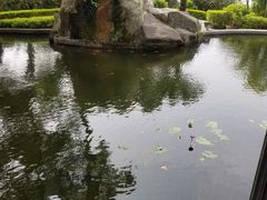 -鼓浪屿钢琴博物馆