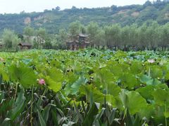 -渭南桃花源民俗文化园