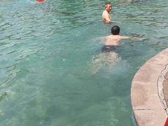 -仁爱团泊湖温泉中心