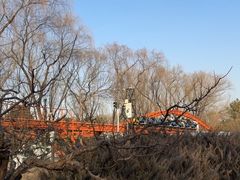 -朝阳公园游乐园