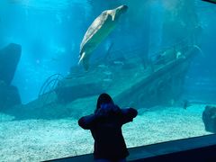 -福州罗源湾海洋世界旅游区