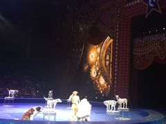 -珠海横琴长隆《卡卡虎奇遇记》