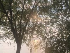 -巴陵广场