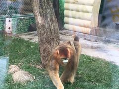 -西安秦岭野生动物园