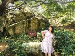 -宋井风景区