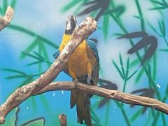 -杭州野生动物世界