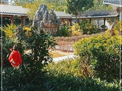 -大亚湾红树林城市湿地公园