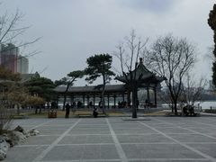 -迎泽公园