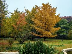 -国家植物园南园