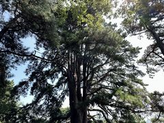 -终南山南五台景区