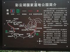 -重庆彩云湖湿地公园