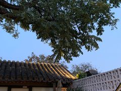 -SUSU·苏苏(四合院创始店)