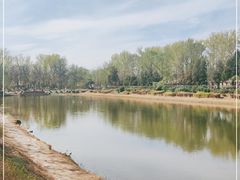 -中卫御苑福膳·养生局(圆明园店)
