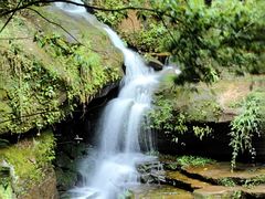 -赤水丹霞旅游区·佛光岩