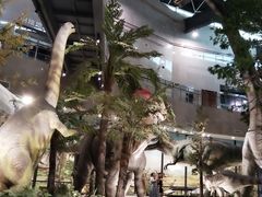 -湖南省地质博物馆