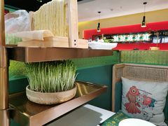 -粤小煲鲜汤猪肚鸡(丹尼斯二天地店)