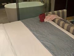 -常州环球恐龙城维景国际大酒店