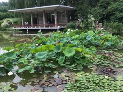 -国家植物园南园