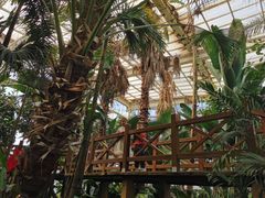 -石家庄市植物园