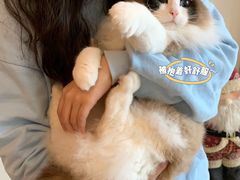 -Catmate·猫肥家润(金润铂宫店)