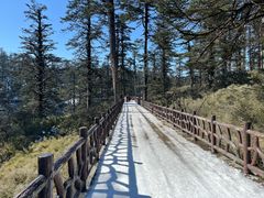 -瓦屋山景区
