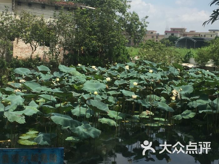 马岗青年营青年农场图片 第4张