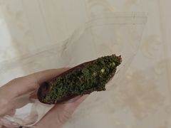 -OUR Bakery(中海环宇荟店)