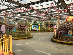 -南宫五洲植物乐园