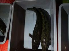 -湘芙蓉·湖南菜(椒江店)