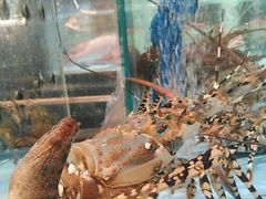 -阿伟海鲜楼·福建菜(延寿店)