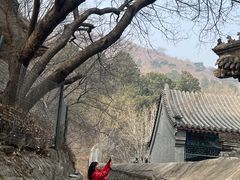 -香山公园-东宫门售票处