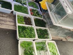 -双季花艺园艺市场(浦东店)