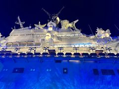 -泰达航母主题公园