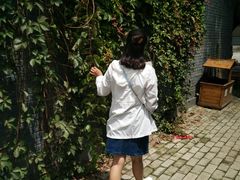-白洋淀景区