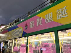 -Big Bus Tours 敞篷观光巴士
