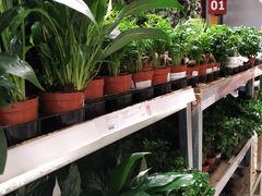 -宜家家居(西安未央商场店)