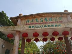 -广东茂名森林公园